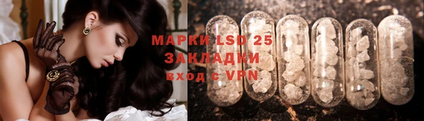 индика Корсаков