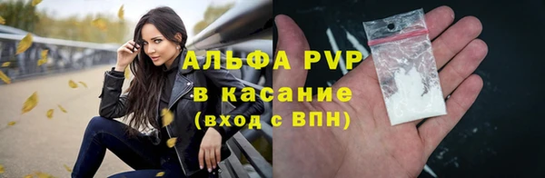 индика Корсаков