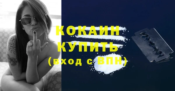 индика Корсаков
