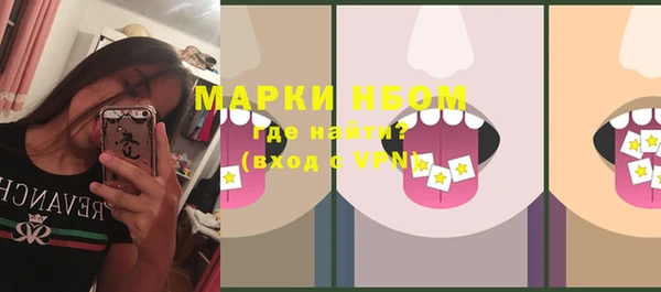 индика Корсаков