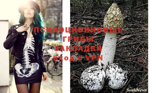 индика Корсаков