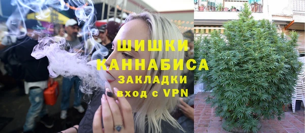 индика Корсаков