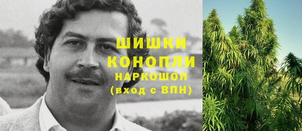 индика Корсаков