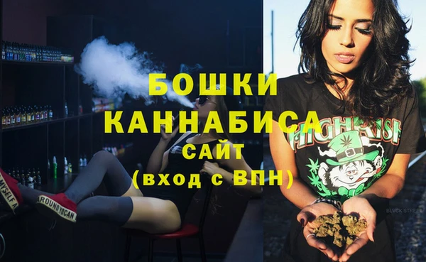 индика Корсаков