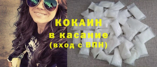 индика Корсаков