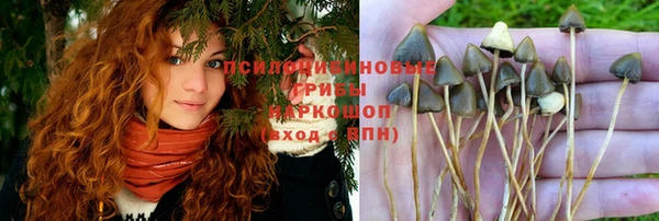 индика Корсаков