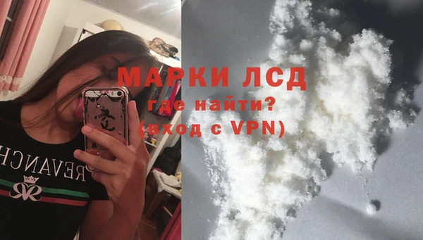 индика Корсаков