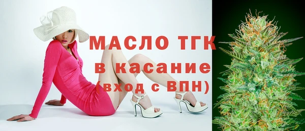 индика Корсаков